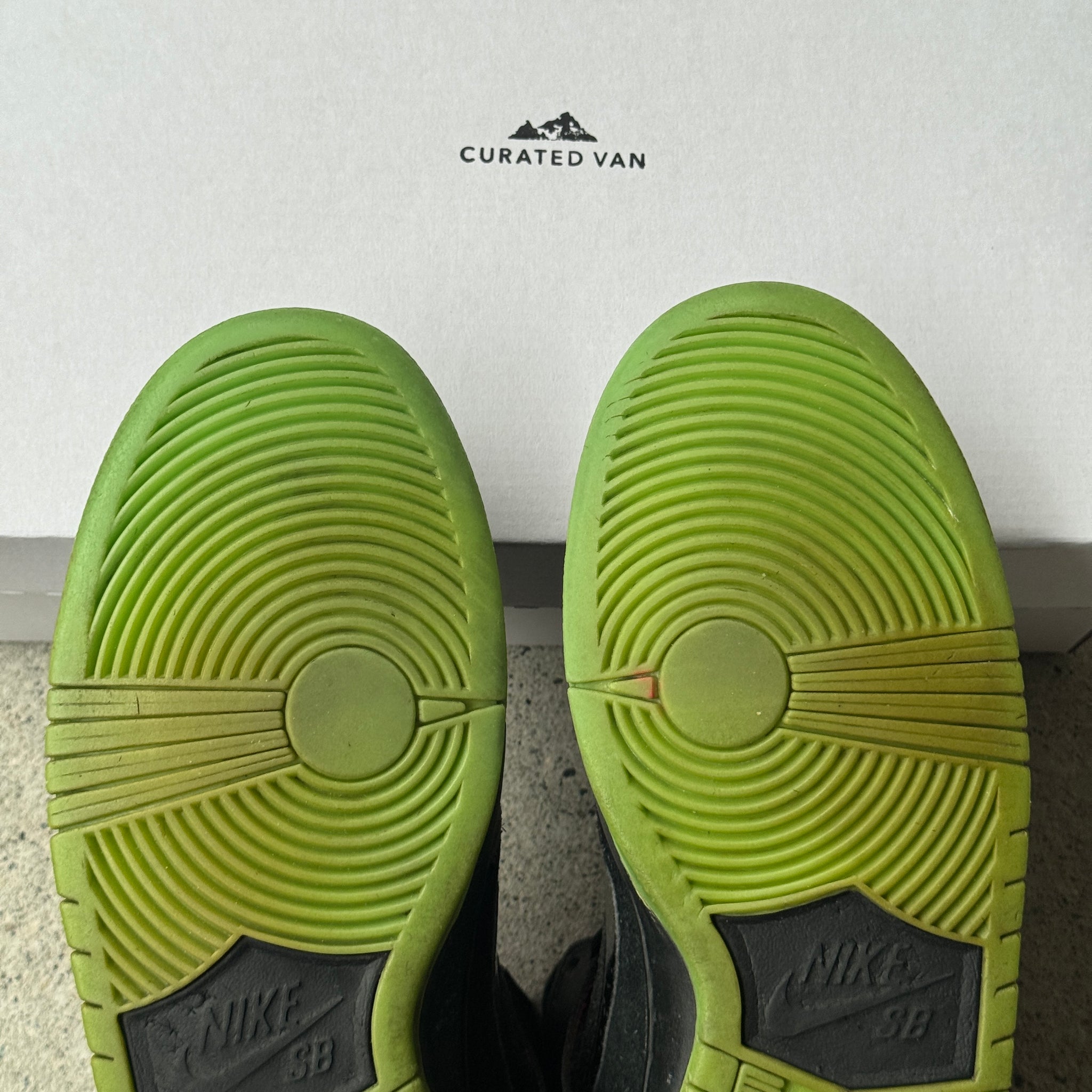 10 US - NIKE SB DUNK HIGH NORTHERN LIGHTS 2014