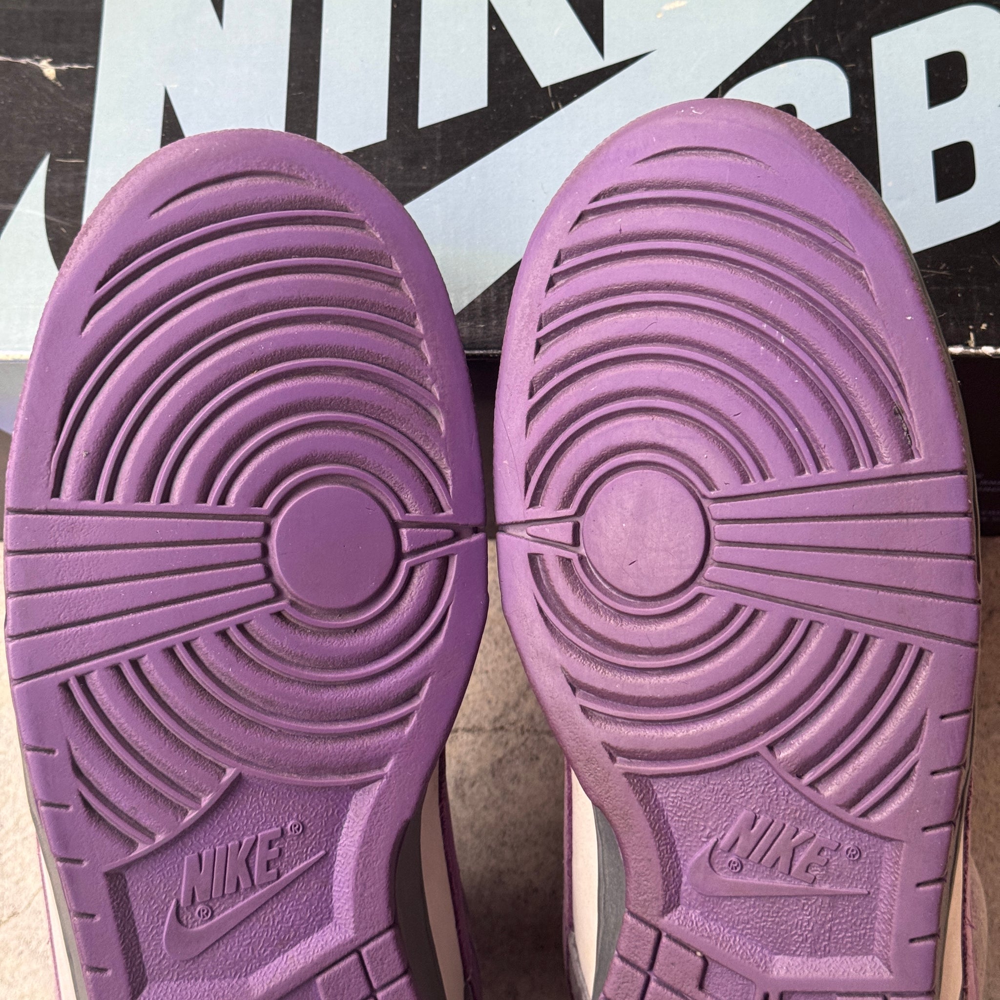 13 US - NIKE SB DUNK LOW PURPLE PIGEON W BOX 2006