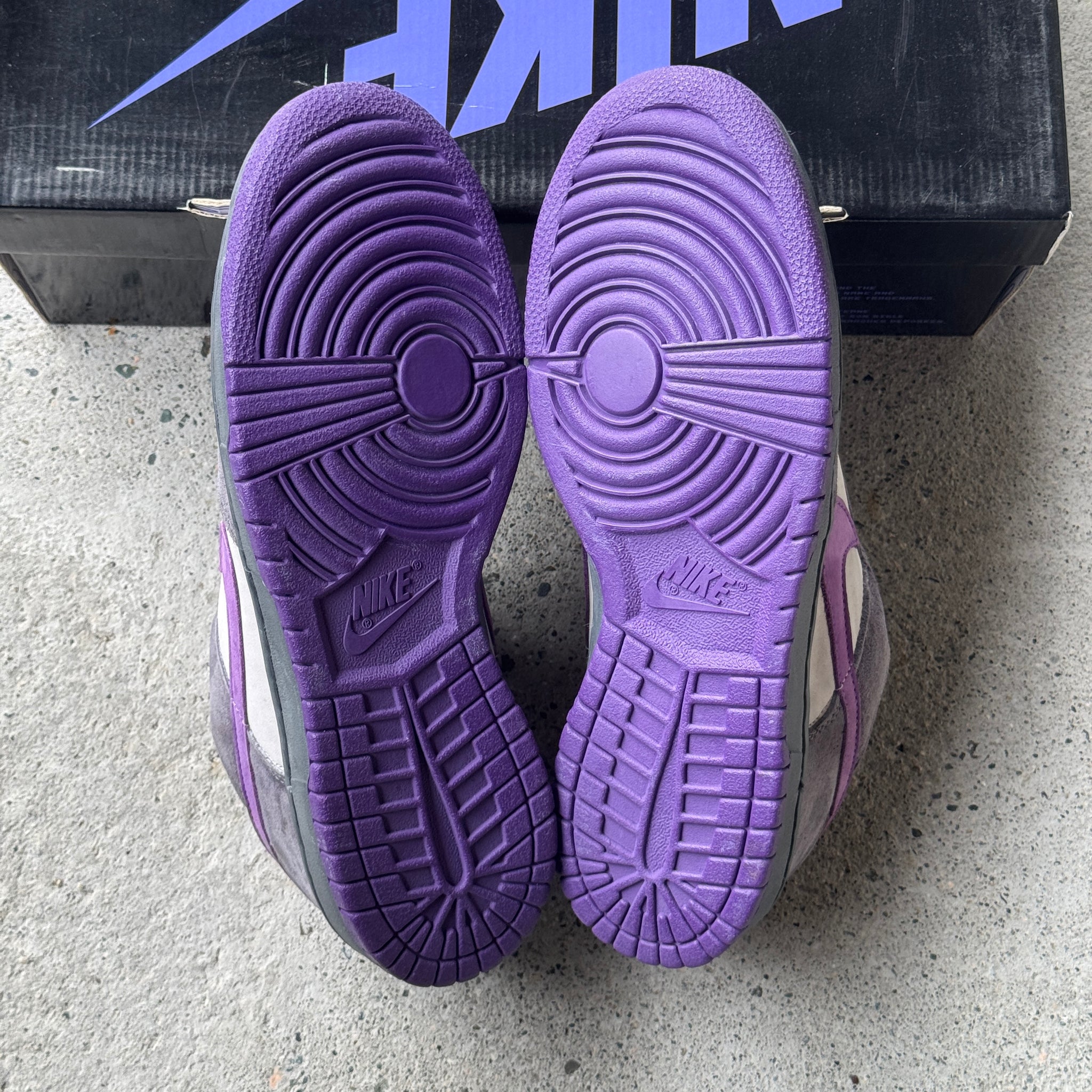 11 US - DS NIKE SB DUNK LOW PURPLE PIGEON W BOX 2006