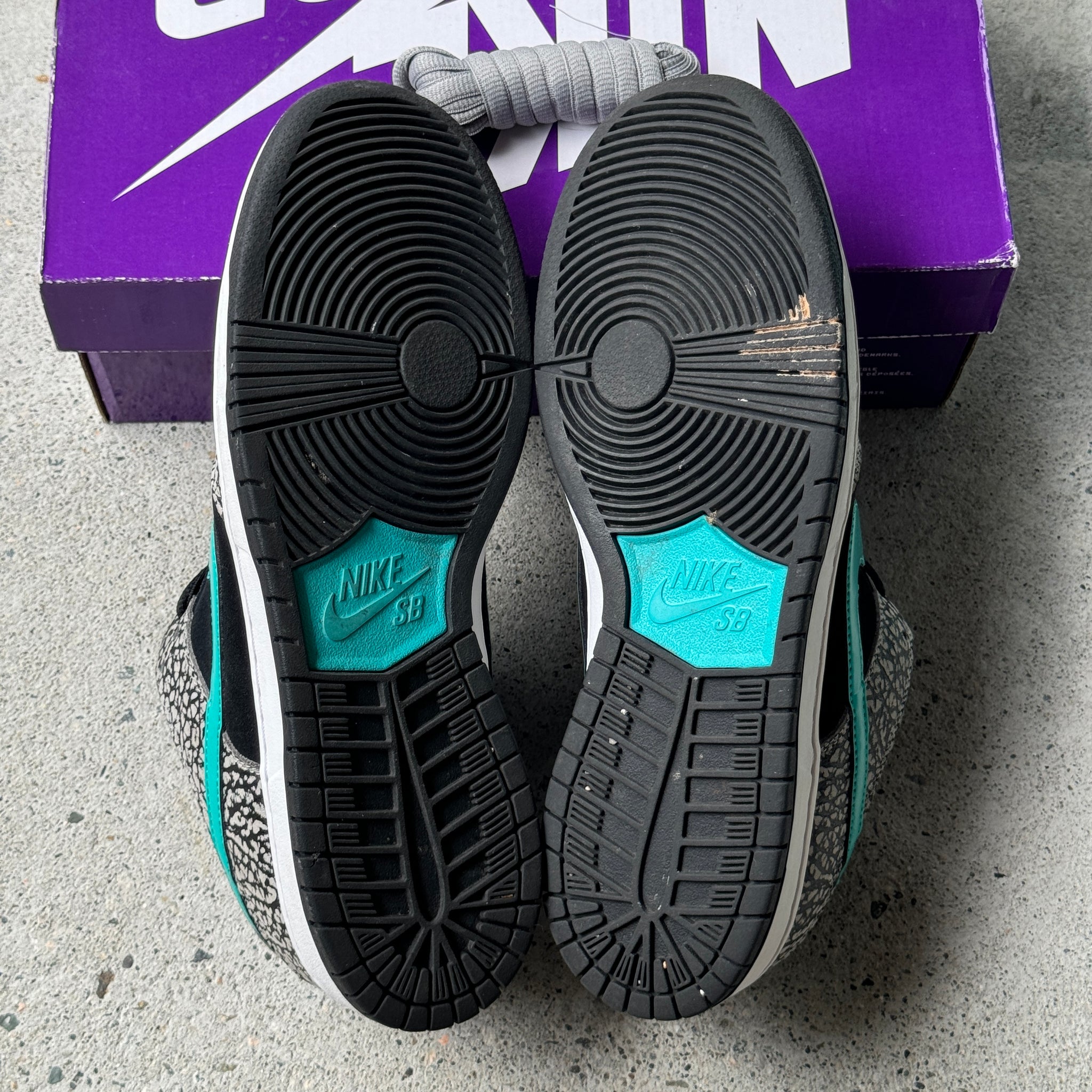 11 US - NIKE SB DUNK LOW ATMOS ELEPHANT W BOX 2020