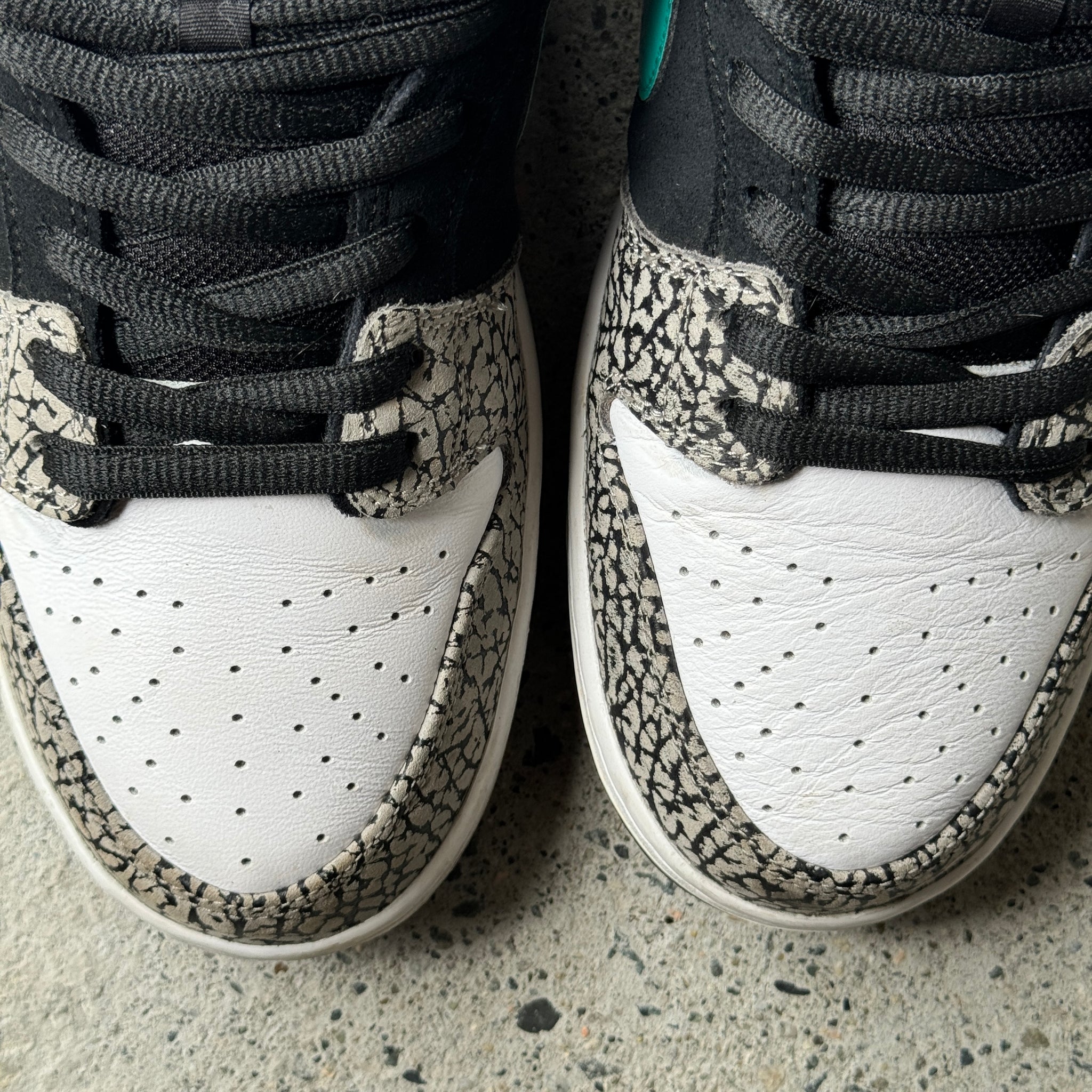 11 US - NIKE SB DUNK LOW ATMOS ELEPHANT W BOX 2020