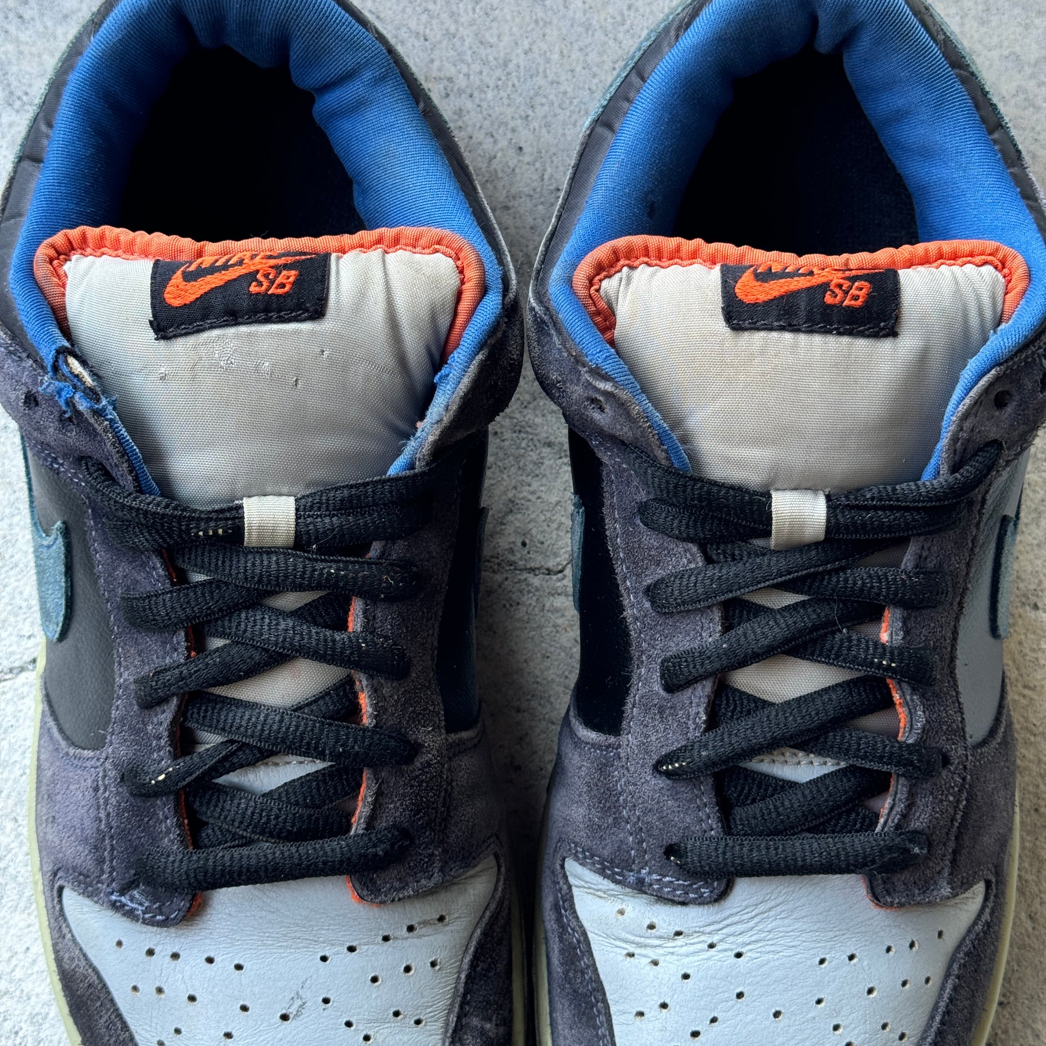 10.5 US - NIKE SB DUNK LOW PATAGONIA 2009