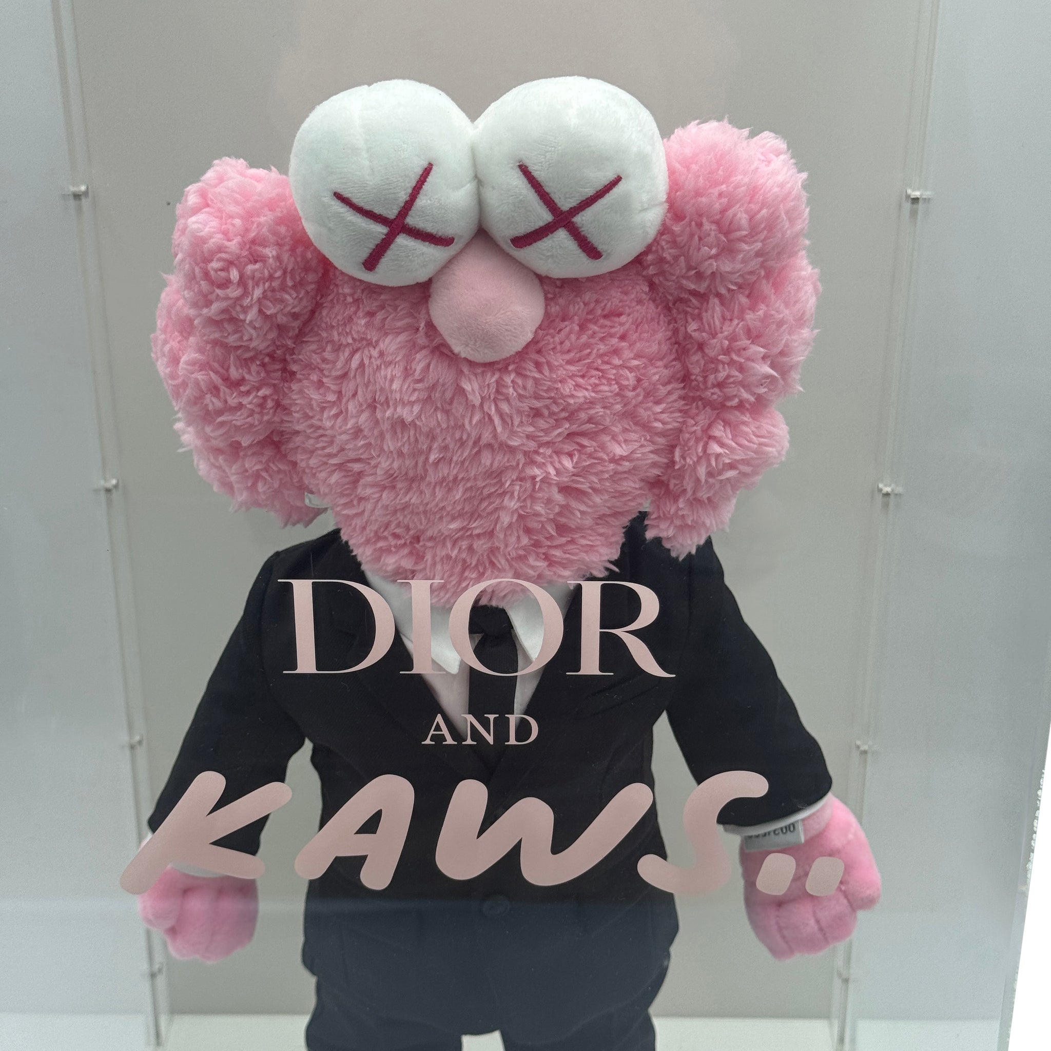 KAWS BFF DIOR PLUSH PINK