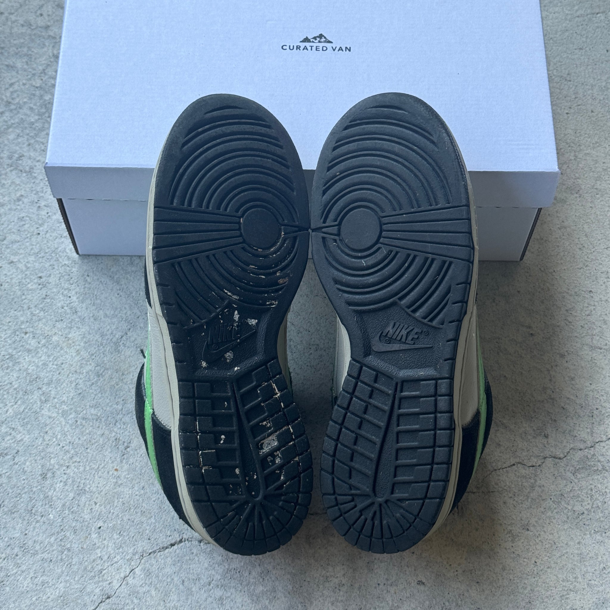 10 US - NIKE SB DUNK LOW POISON 2008