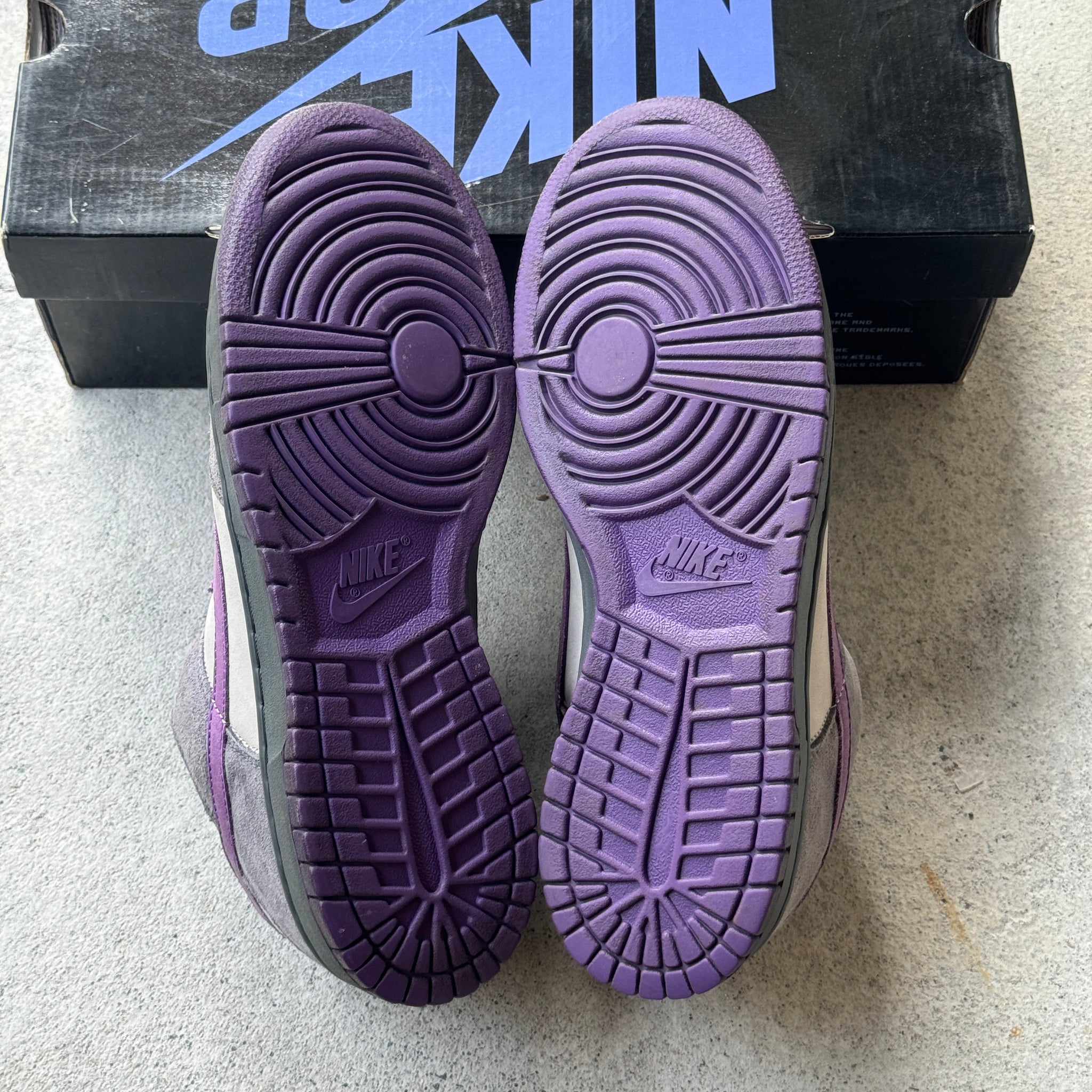 10.5 US - NIKE SB DUNK LOW PURPLE PIGEON W BOX 2006
