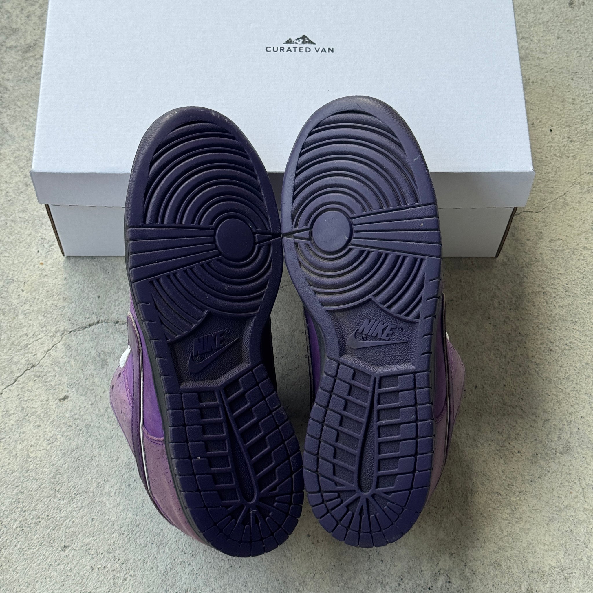 10 US - NIKE SB DUNK LOW PURPLE LOBSTER 2018
