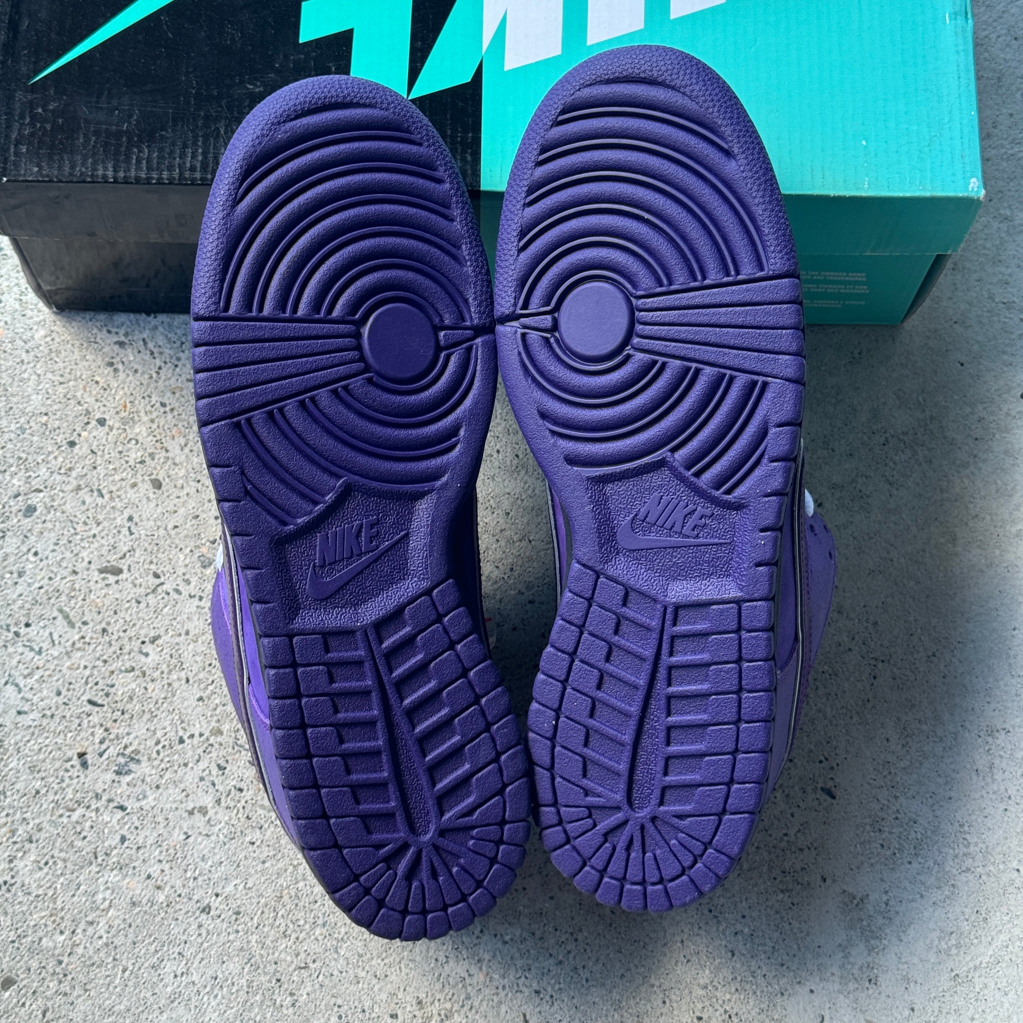 9 US - DS NIKE SB DUNK LOW PURPLE LOBSTER W BOX 2018