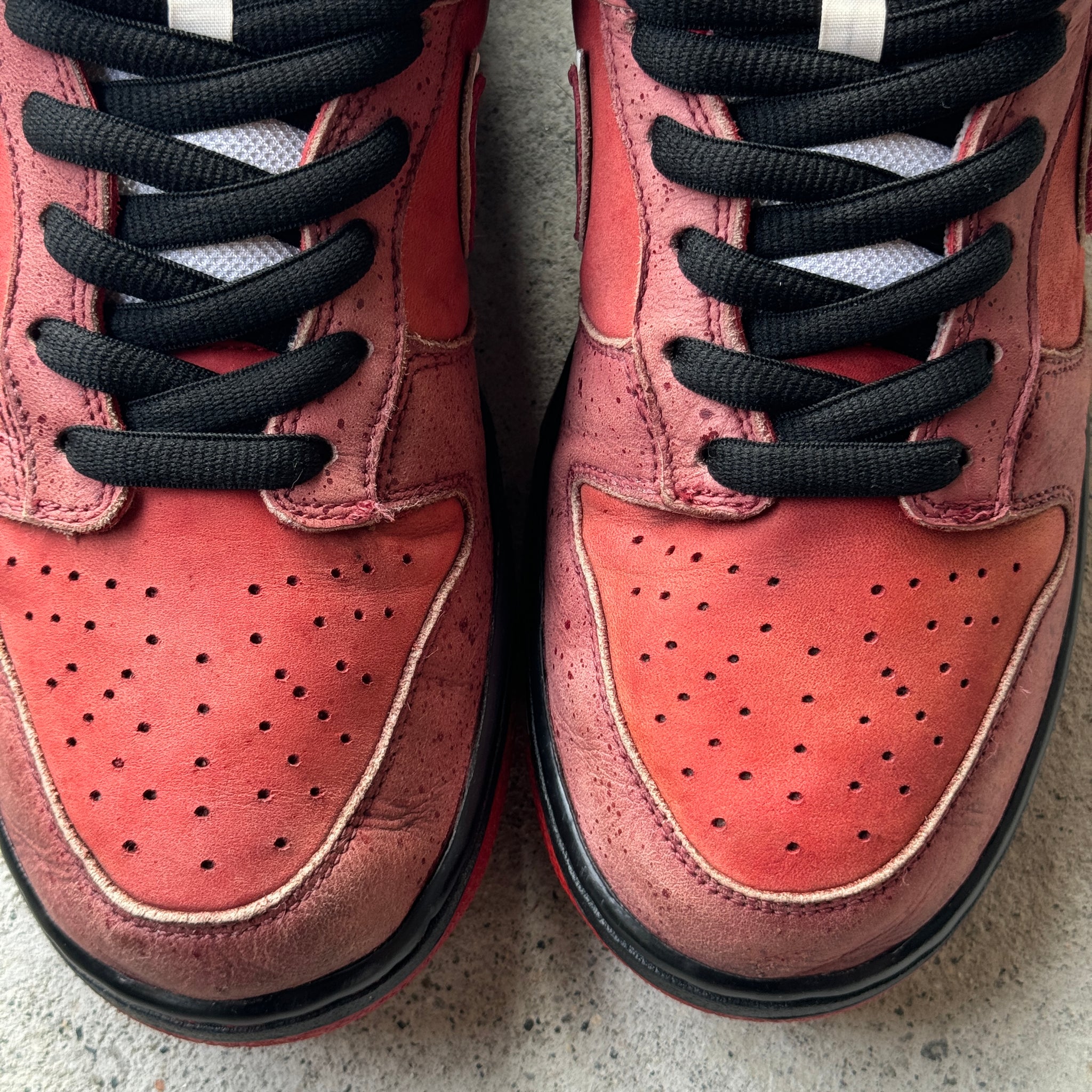 12 US - NIKE SB DUNK RED LOBSTER W BOX 2008