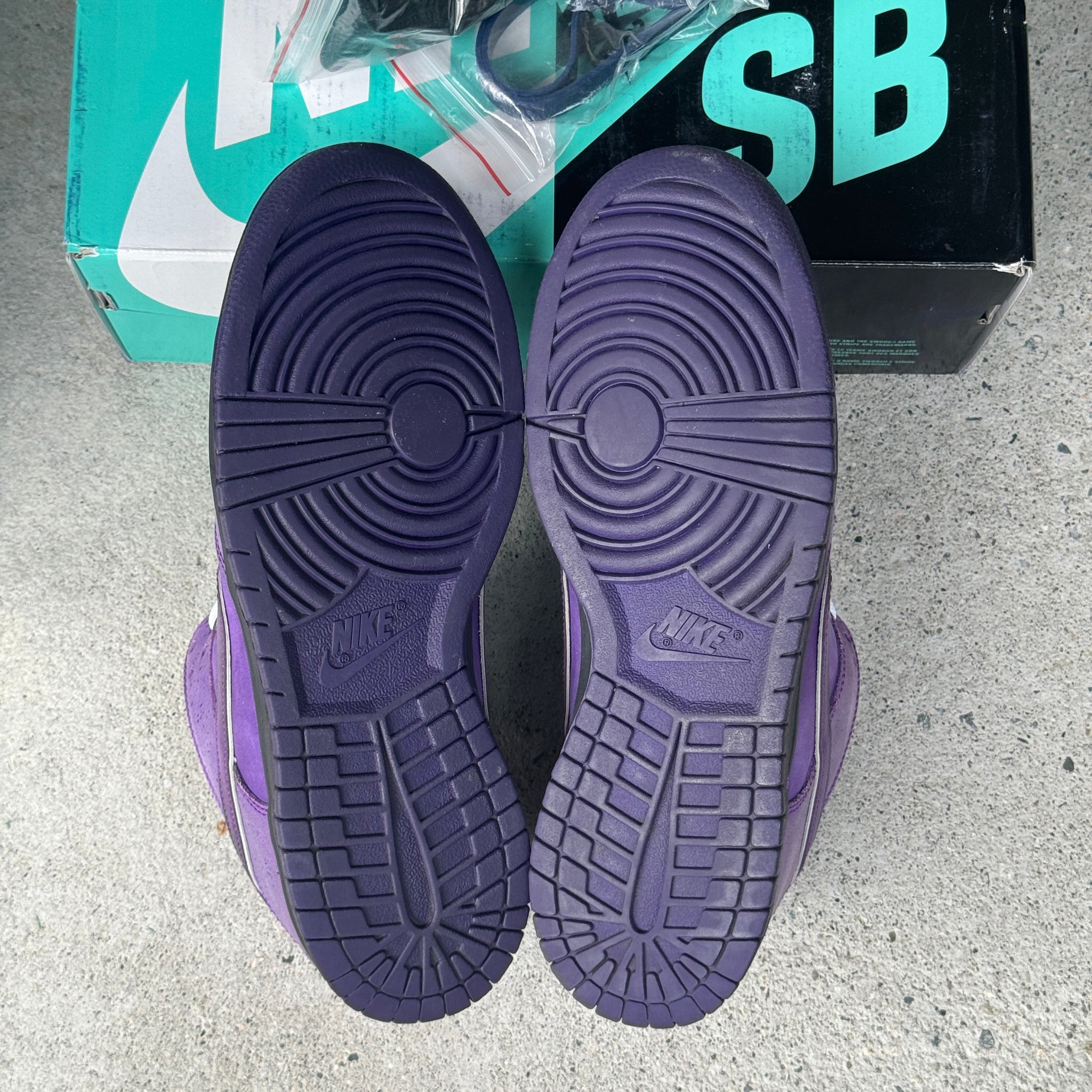 10 US - NIKE SB DUNK LOW PURPLE LOBSTER SPECIAL BOX 2018