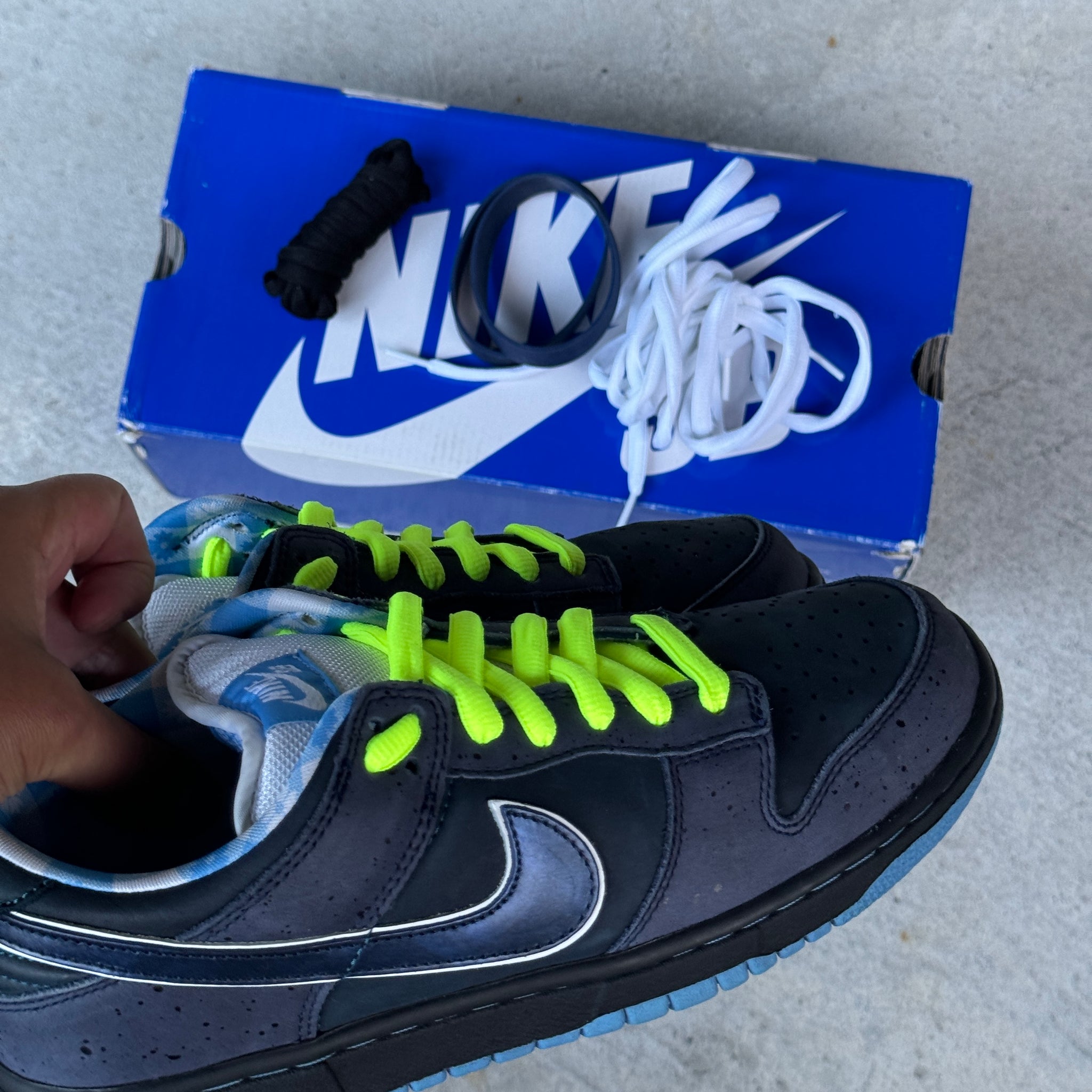 Nike sb dunk low blue lobster best sale