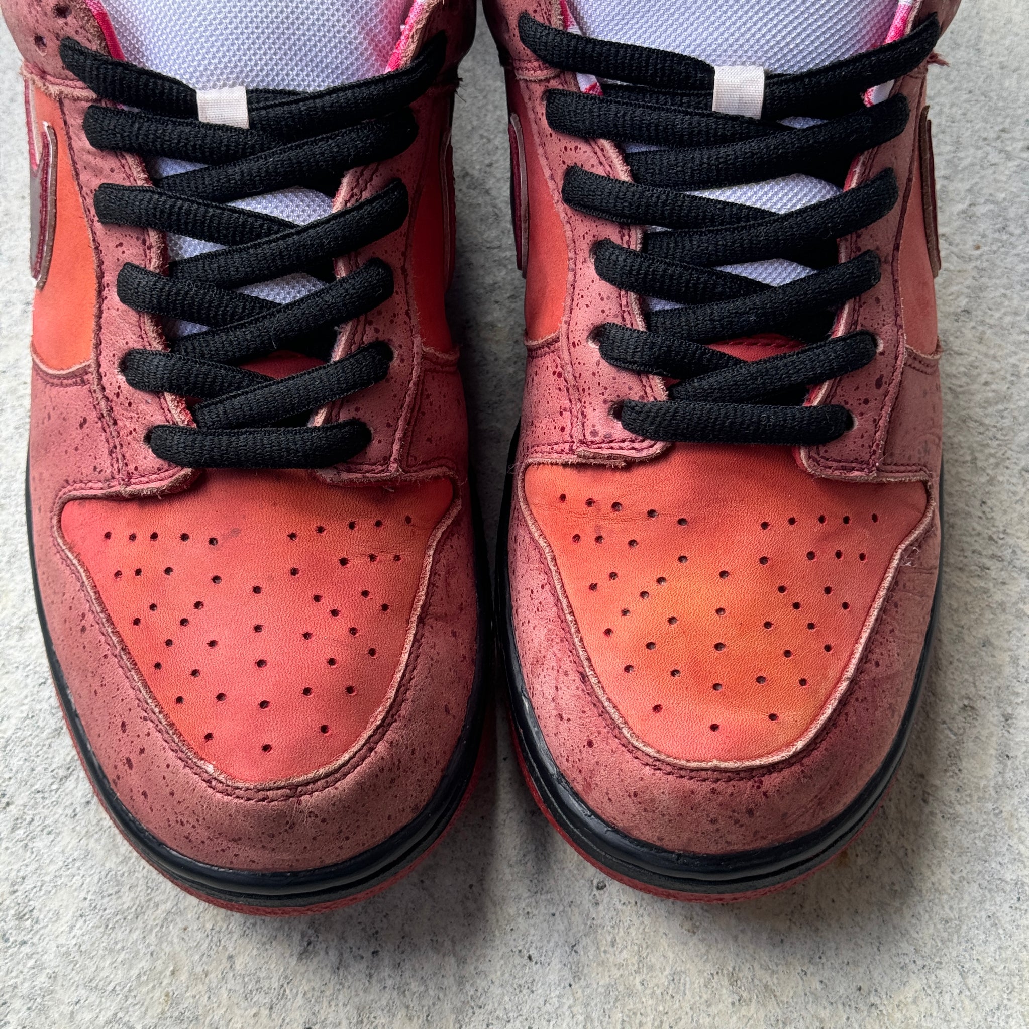 11.5 US - NIKE SB DUNK RED LOBSTER 2008